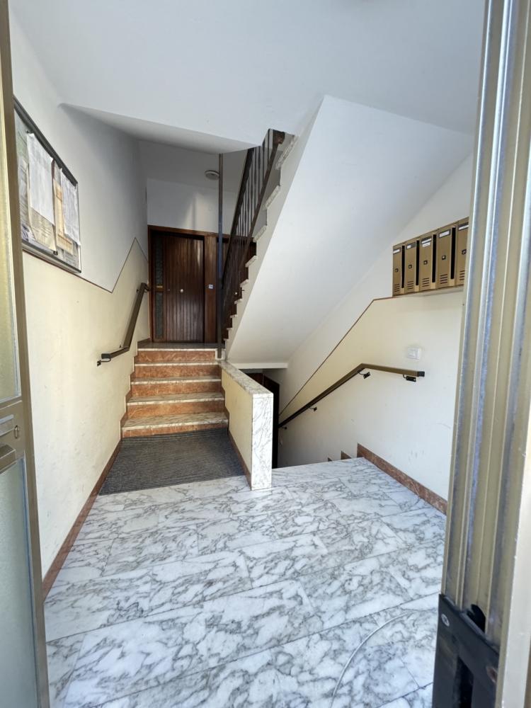Appartamento plurilocale in affitto a Pietrasanta