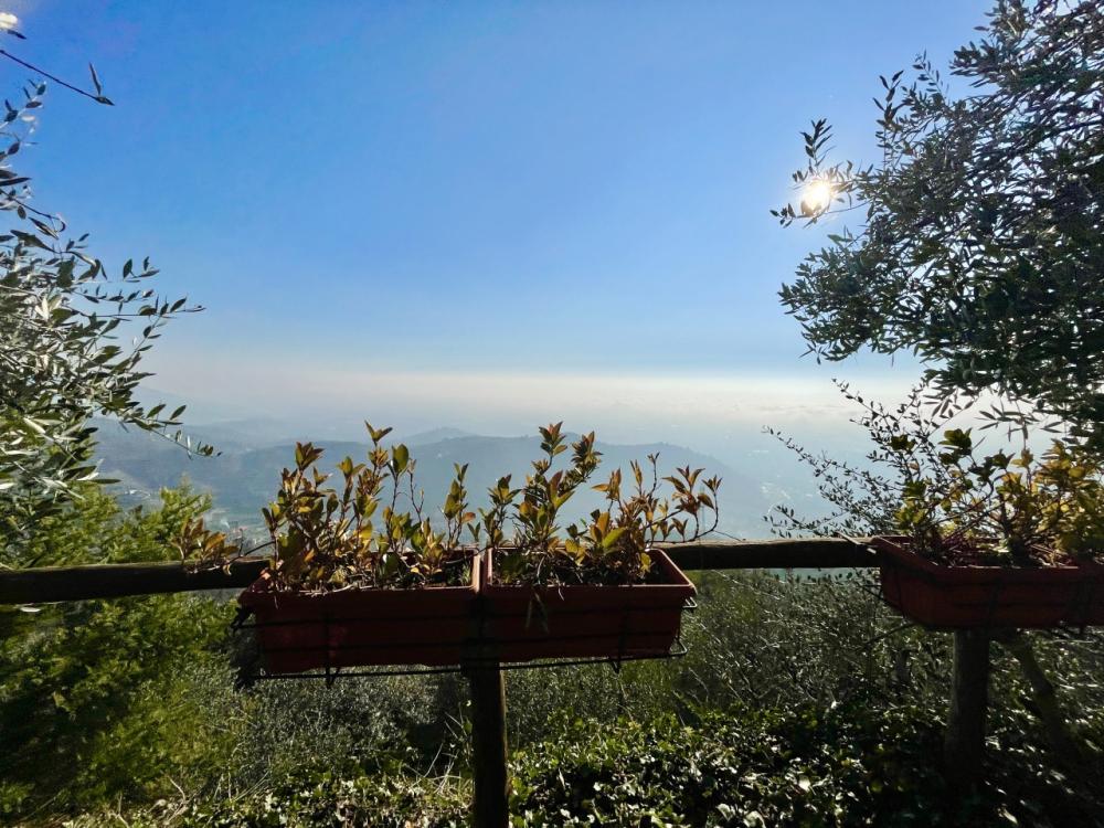 Baita-chalet bilocale in vendita a Capezzano monte