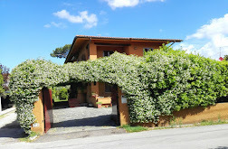 Villa indipendente plurilocale in affitto a forte-dei-marmi