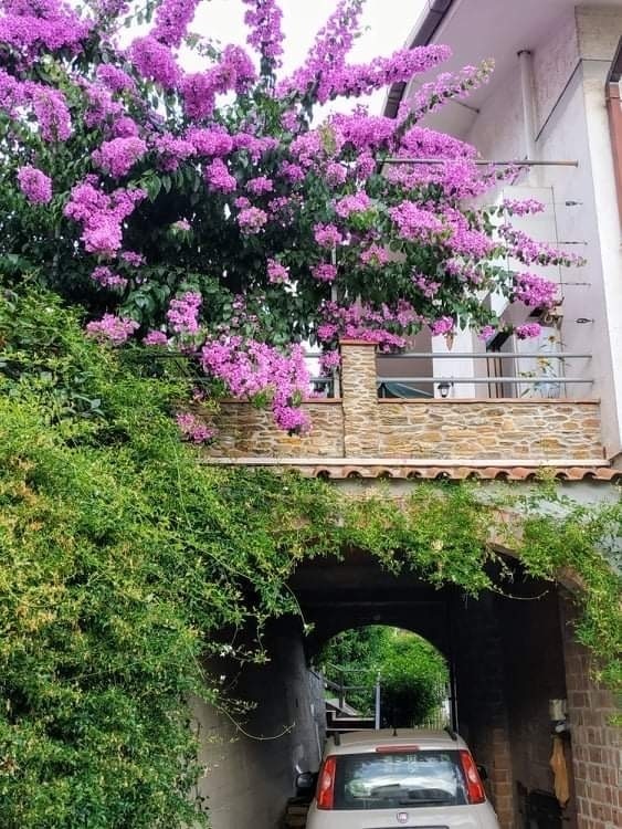 Villa indipendente plurilocale in vendita a montignoso