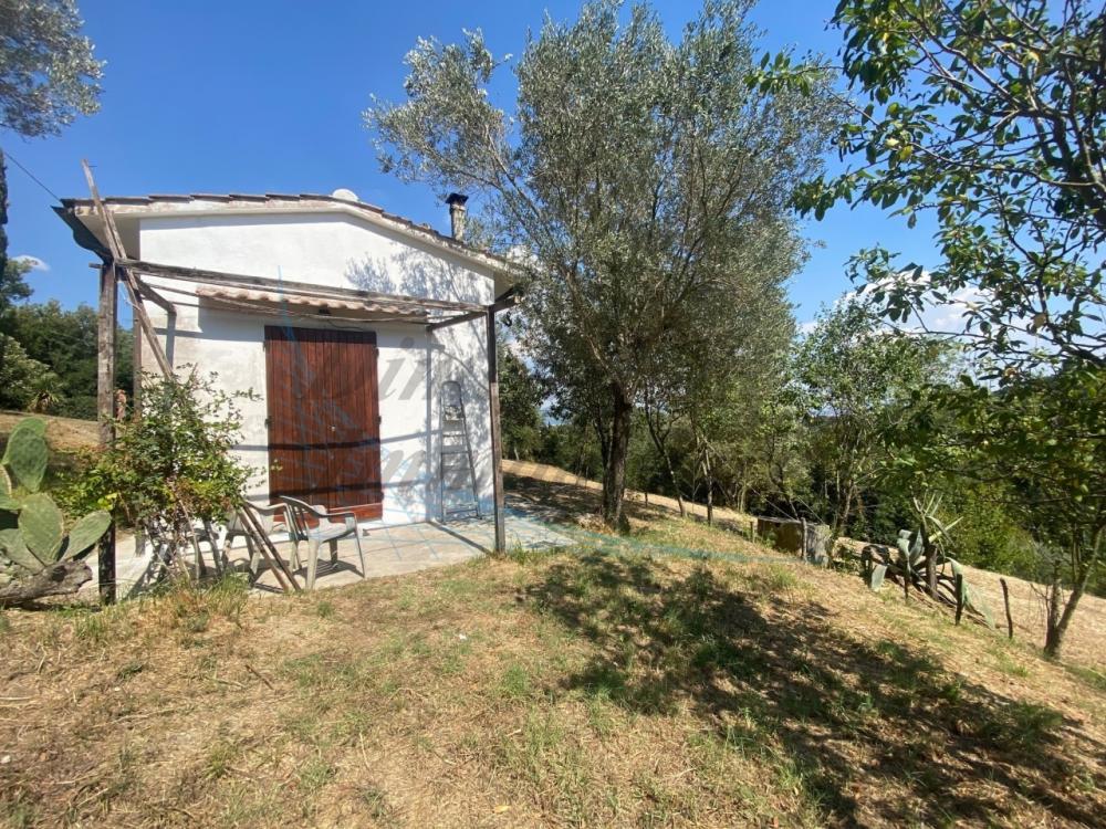 Villa indipendente bilocale in vendita a Castelnuovo della misericordia