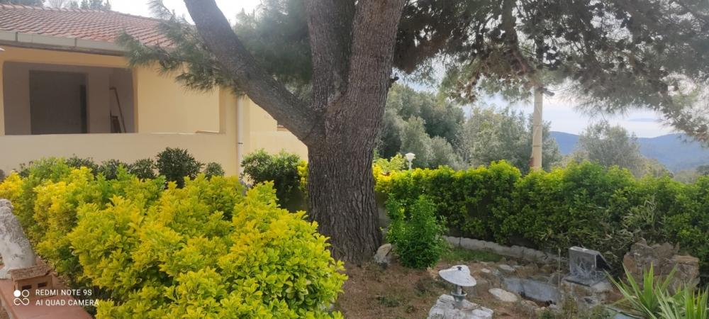 Villa indipendente plurilocale in vendita a rosignano-marittimo