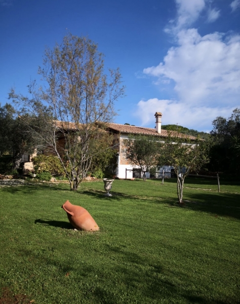 Villa plurilocale in affitto a Orbetello