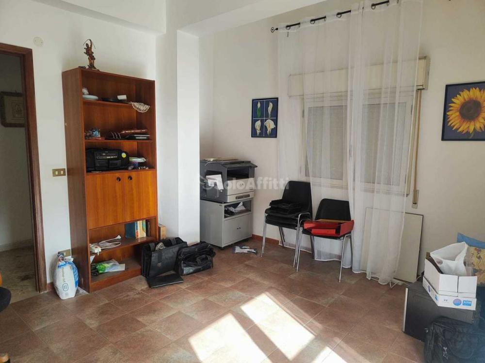 Appartamento bilocale in affitto a Modena