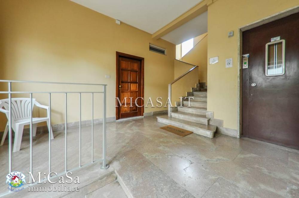 Appartamento bilocale in affitto a Pisa