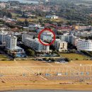 Appartamento bilocale in affitto a Bibione