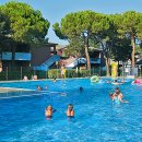 Villaschiera bilocale in affitto a Bibione