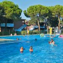 Villaschiera bilocale in affitto a Bibione