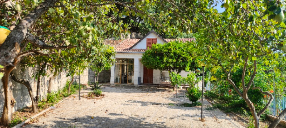 Villa quadrilocale in vendita a Ascea