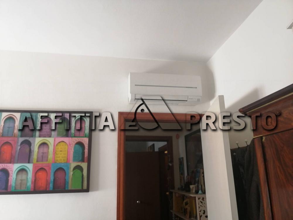 Appartamento bilocale in affitto a Livorno