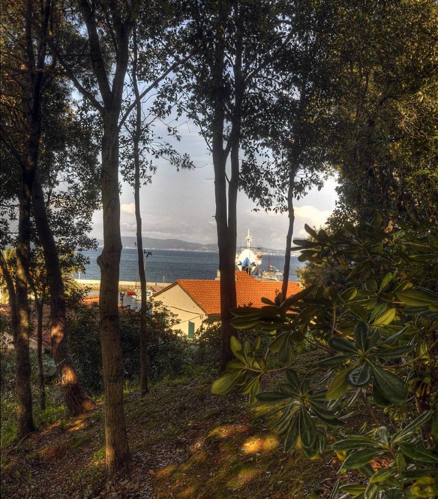 vista mare proprietà di lusso sul mare a cavo - Villa plurilocale in vendita a Cavo