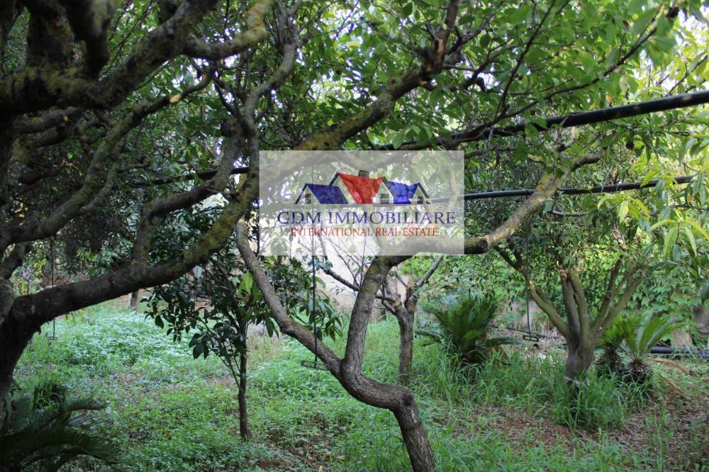 Villa indipendente plurilocale in vendita a Petrosino