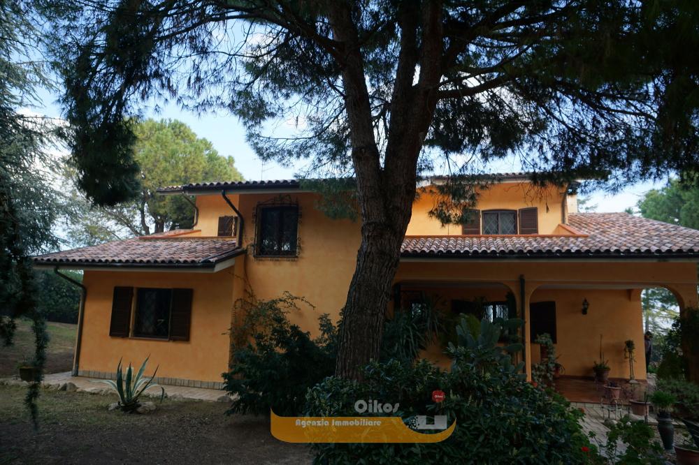 Giardino - Appartamento plurilocale in vendita a Giulianova