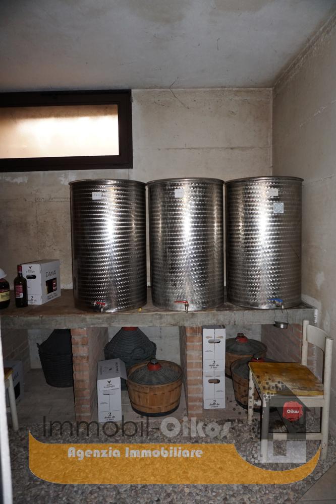 Cantina olio e vino - Appartamento plurilocale in vendita a Roseto degli Abruzzi