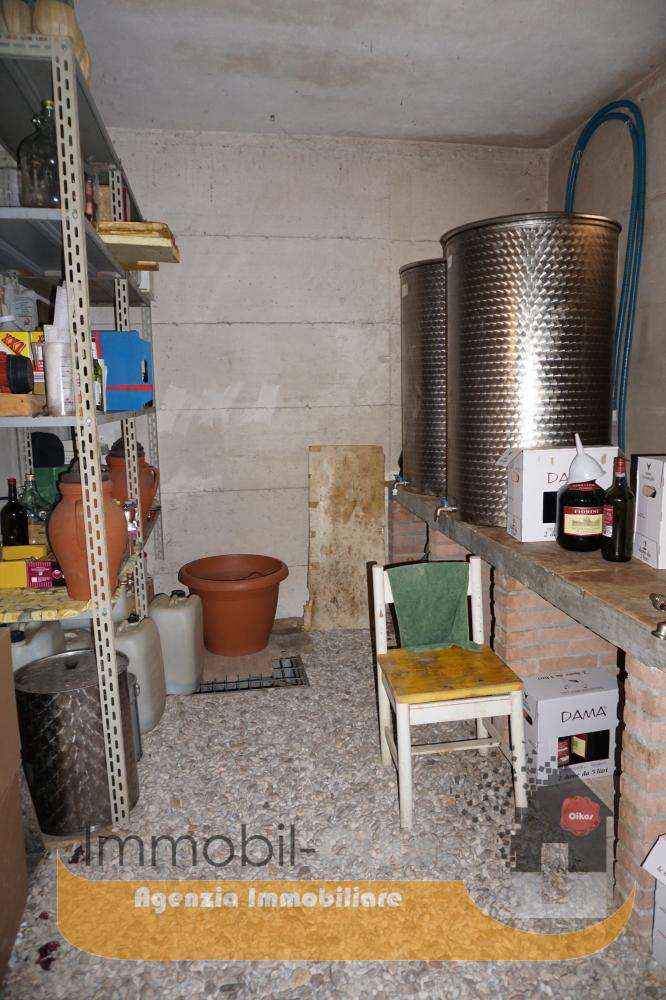 Cantina olio e vino - Appartamento plurilocale in vendita a Roseto degli Abruzzi