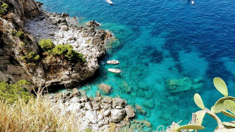 immagine agenzia: Studio Musco - Servizi Immobiliari Capri